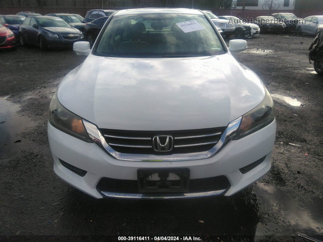 2014 Honda Accord Ex Белый vin: 1HGCR2F76EA163189