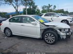 2014 Honda Accord Ex White vin: 1HGCR2F76EA166125