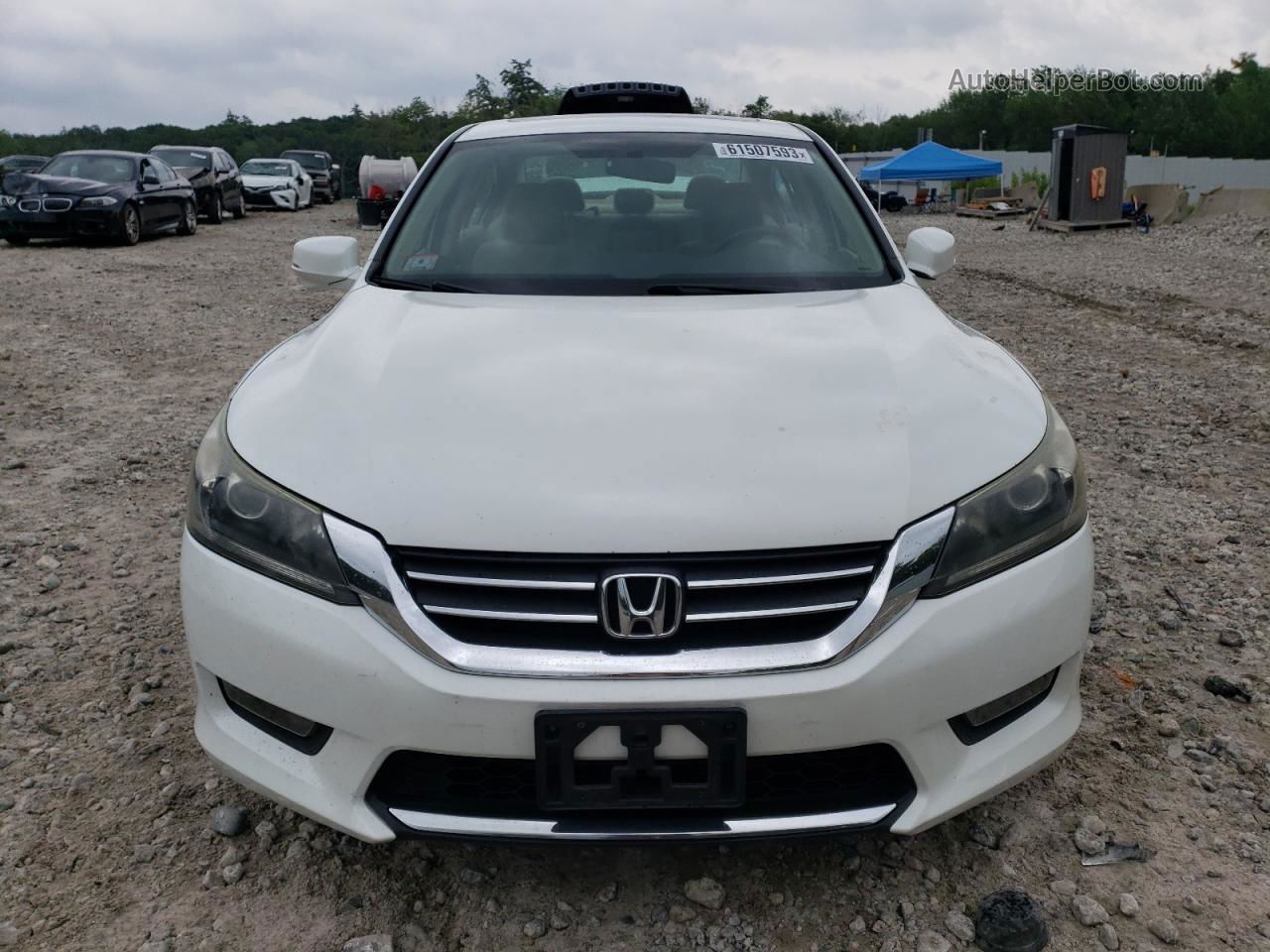 2014 Honda Accord Ex White vin: 1HGCR2F77EA125342