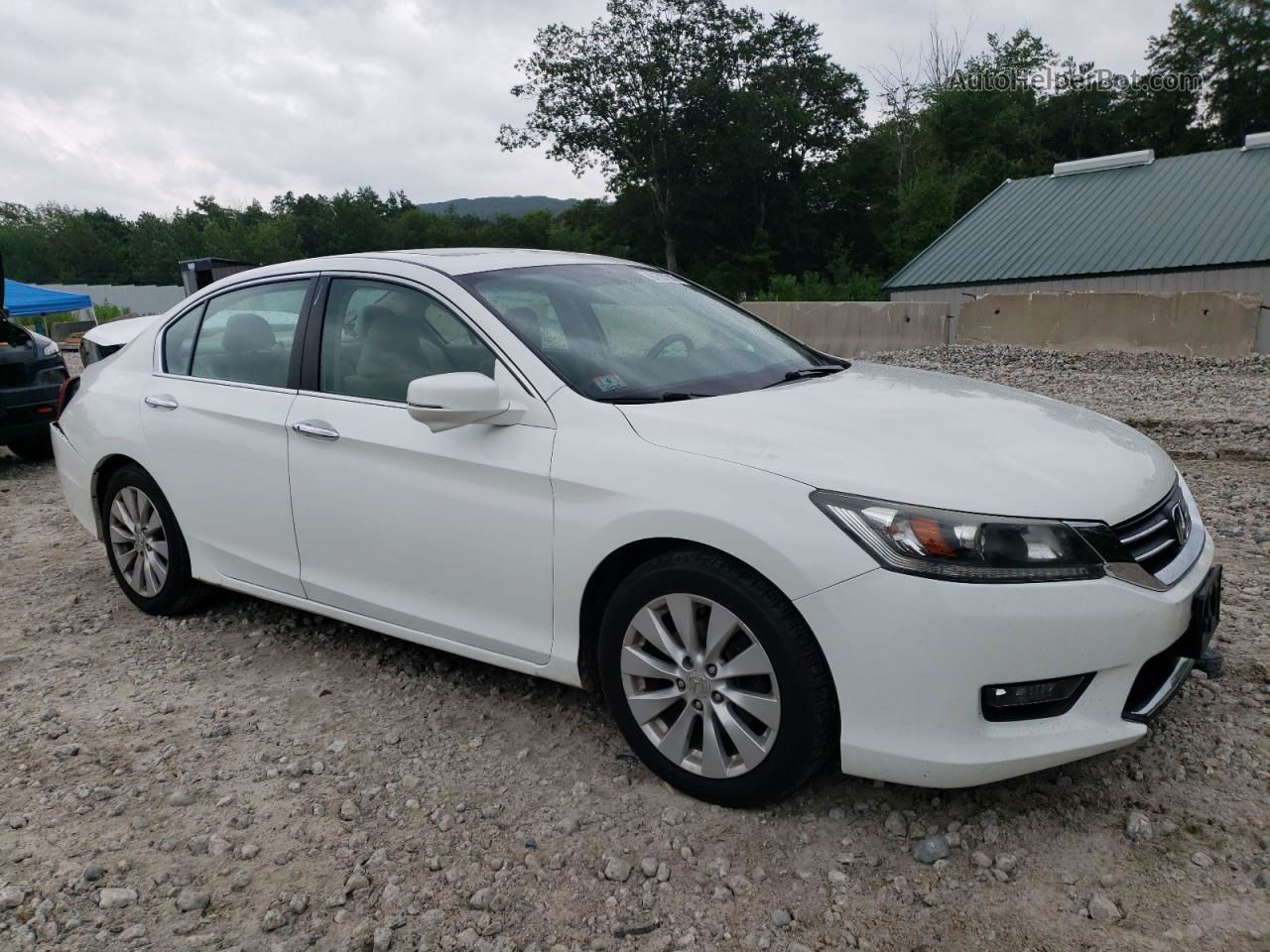 2014 Honda Accord Ex White vin: 1HGCR2F77EA125342