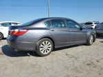 2014 Honda Accord Ex Gray vin: 1HGCR2F77EA168045