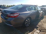 2016 Honda Accord Ex Gray vin: 1HGCR2F77GA087968