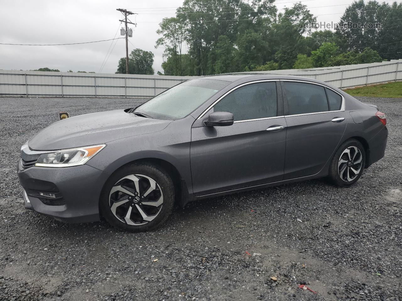 2017 Honda Accord Ex Gray vin: 1HGCR2F77HA068869