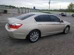 2014 Honda Accord Ex Желто-коричневый vin: 1HGCR2F78EA034788