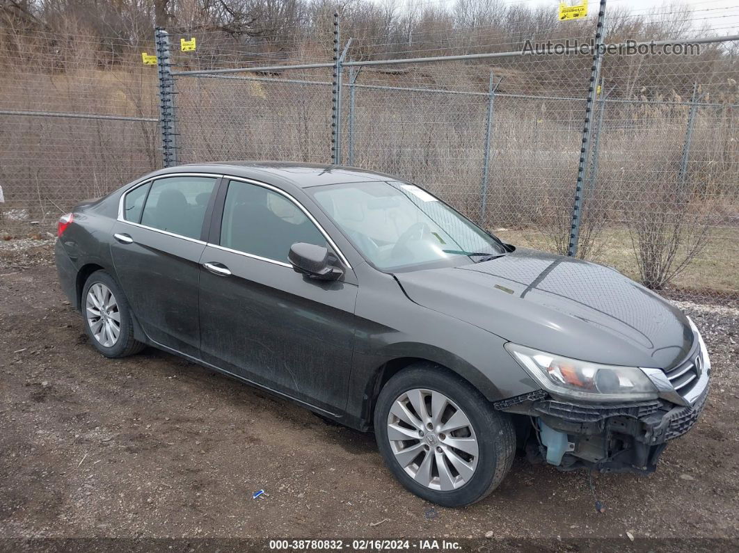 2014 Honda Accord Ex Gray vin: 1HGCR2F78EA092030