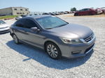 2015 Honda Accord Ex Gray vin: 1HGCR2F78FA131071