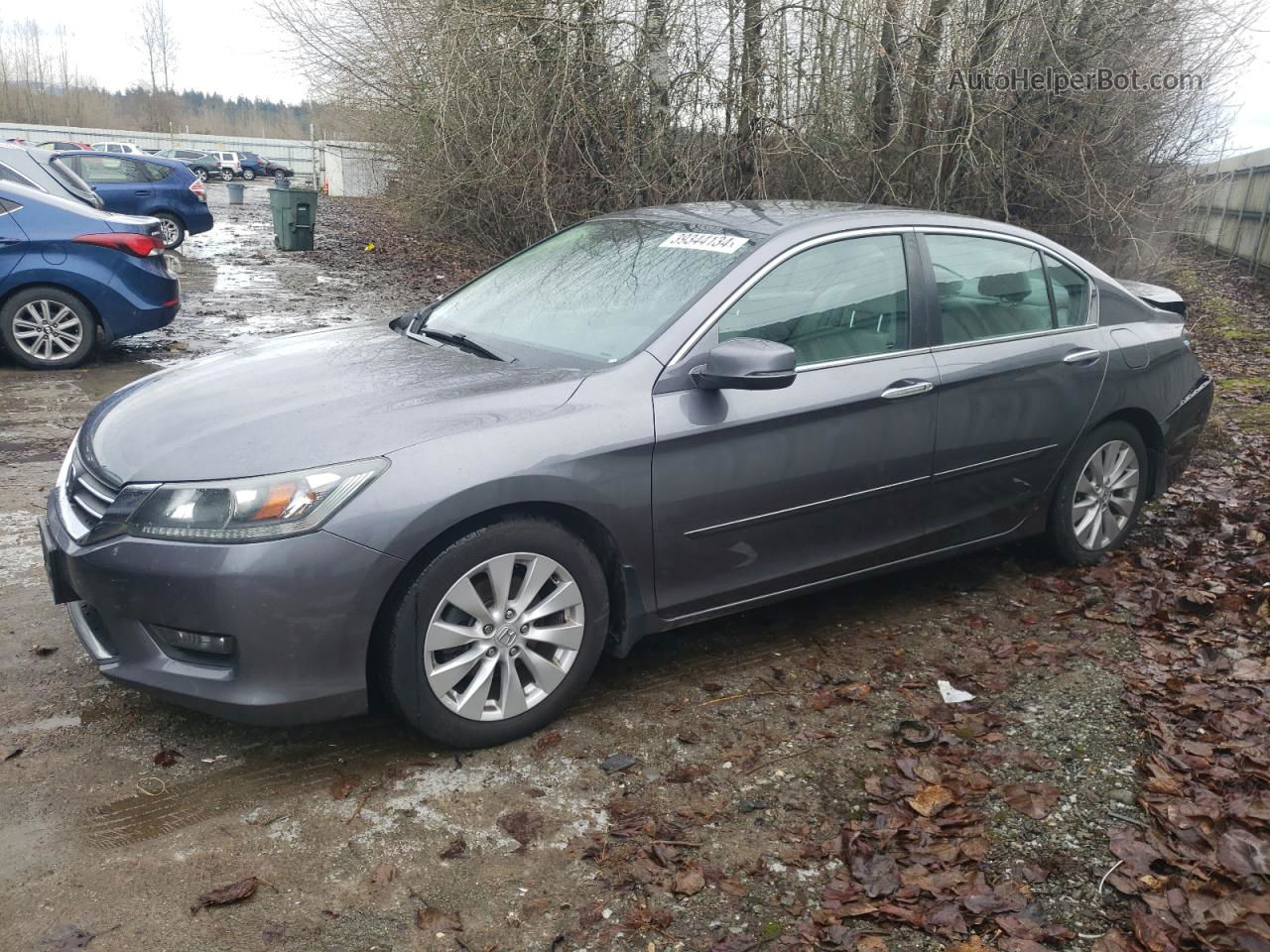 2014 Honda Accord Ex Gray vin: 1HGCR2F79EA188801