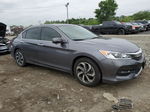 2017 Honda Accord Ex Gray vin: 1HGCR2F79HA245924