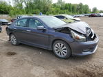 2014 Honda Accord Ex Gray vin: 1HGCR2F7XEA031763