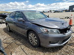 2014 Honda Accord Ex Серый vin: 1HGCR2F7XEA034985