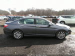 2014 Honda Accord Ex Серый vin: 1HGCR2F7XEA123603