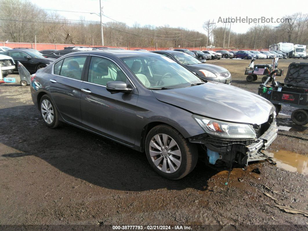 2014 Honda Accord Ex Gray vin: 1HGCR2F7XEA123603