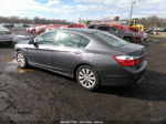 2014 Honda Accord Ex Gray vin: 1HGCR2F7XEA123603