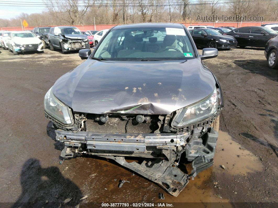 2014 Honda Accord Ex Gray vin: 1HGCR2F7XEA123603