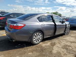 2014 Honda Accord Ex Gray vin: 1HGCR2F7XEA223538