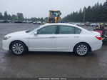 2014 Honda Accord Ex White vin: 1HGCR2F7XEA224463