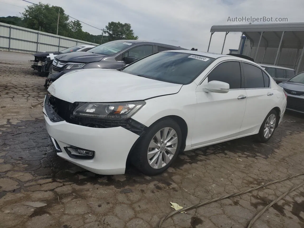 2014 Honda Accord Ex White vin: 1HGCR2F7XEA251985