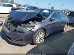 2014 Honda Accord Ex Gray vin: 1HGCR2F7XEA304572