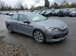 2016 Honda Accord Ex Серый vin: 1HGCR2F7XGA038652