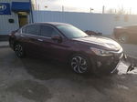 2017 Honda Accord Ex Темно-бордовый vin: 1HGCR2F7XHA096911