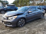 2017 Honda Accord Ex Gray vin: 1HGCR2F7XHA287552