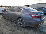 2017 Honda Accord Ex Gray vin: 1HGCR2F7XHA287552