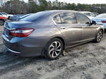 2017 Honda Accord Ex Gray vin: 1HGCR2F7XHA287552