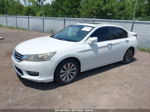 2014 Honda Accord Ex-l White vin: 1HGCR2F80EA142556