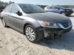 2014 Honda Accord Exl Gray vin: 1HGCR2F80EA175931