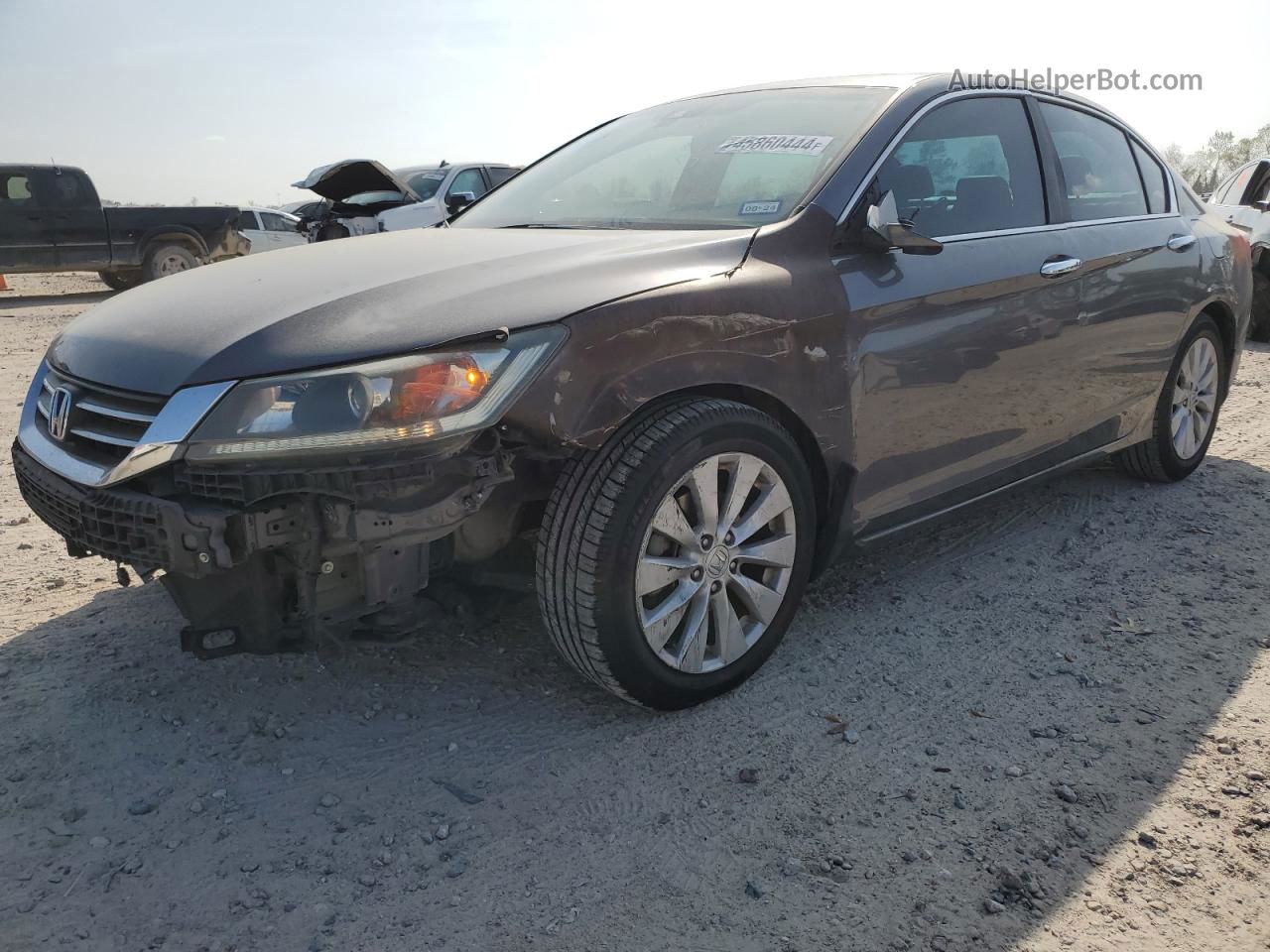 2014 Honda Accord Exl Gray vin: 1HGCR2F80EA175931