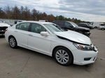 2014 Honda Accord Exl White vin: 1HGCR2F80EA230863