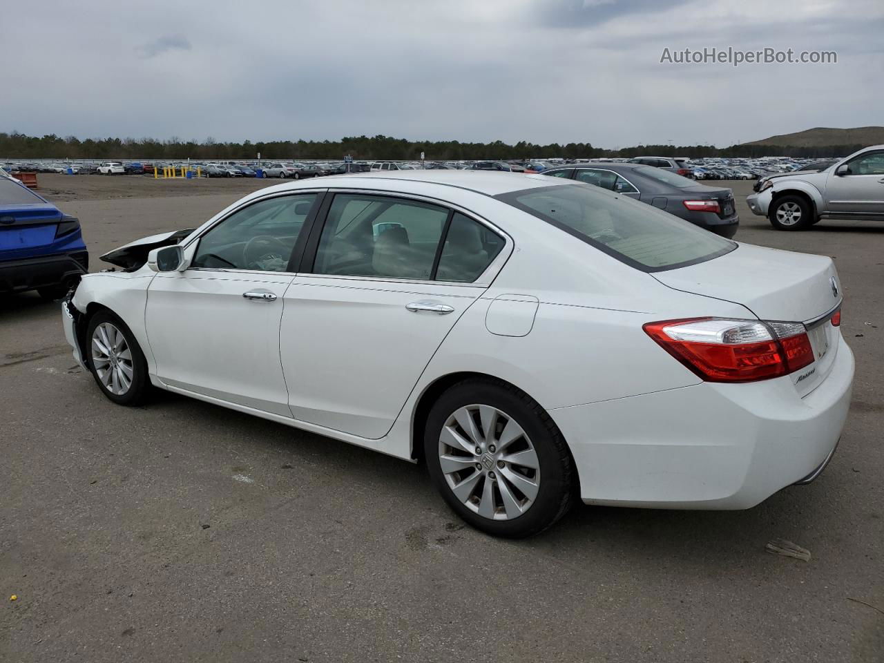 2014 Honda Accord Exl White vin: 1HGCR2F80EA230863