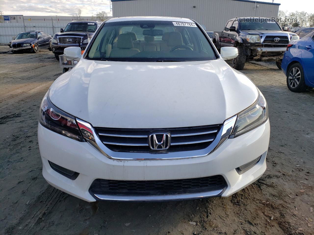 2014 Honda Accord Exl Белый vin: 1HGCR2F80EA303651