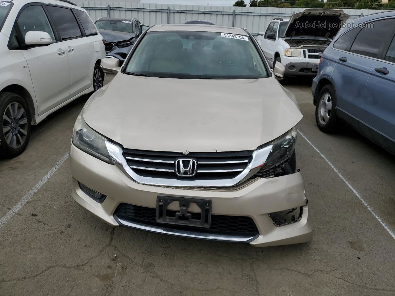 2014 Honda Accord Exl Бежевый vin: 1HGCR2F81EA003794