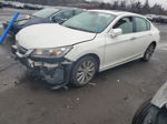 2014 Honda Accord Exl White vin: 1HGCR2F81EA058293