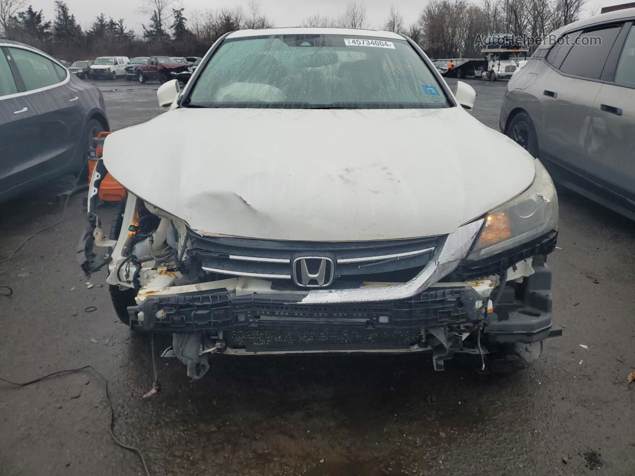 2014 Honda Accord Exl White vin: 1HGCR2F81EA058293