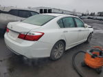 2014 Honda Accord Exl White vin: 1HGCR2F81EA058293