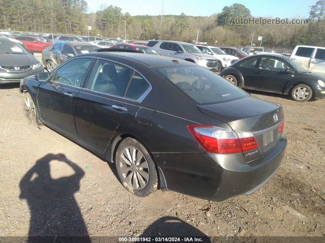 2014 Honda Accord Ex-l Gray vin: 1HGCR2F81EA066247