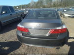 2014 Honda Accord Ex-l Gray vin: 1HGCR2F81EA066247