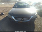 2014 Honda Accord Ex-l Gray vin: 1HGCR2F81EA066247