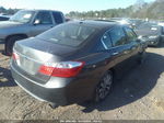 2014 Honda Accord Ex-l Gray vin: 1HGCR2F81EA066247