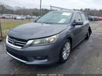 2014 Honda Accord Ex-l Серый vin: 1HGCR2F81EA175016