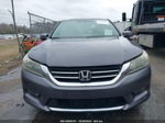 2014 Honda Accord Ex-l Серый vin: 1HGCR2F81EA175016