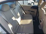 2015 Honda Accord Sedan Ex-l Белый vin: 1HGCR2F81FA020791