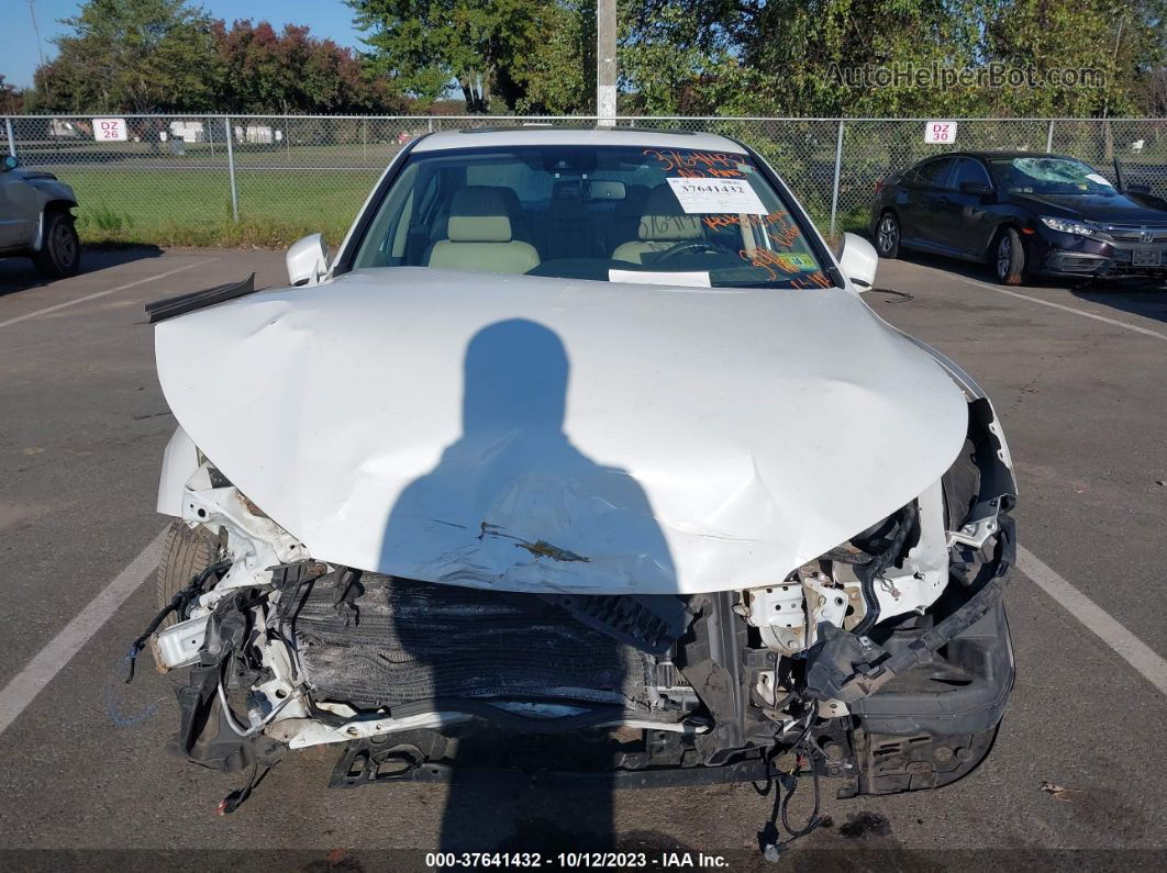 2015 Honda Accord Sedan Ex-l White vin: 1HGCR2F81FA020791