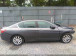 2015 Honda Accord Sedan Ex-l Gray vin: 1HGCR2F81FA136959