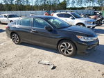 2017 Honda Accord Exl Black vin: 1HGCR2F81HA047797