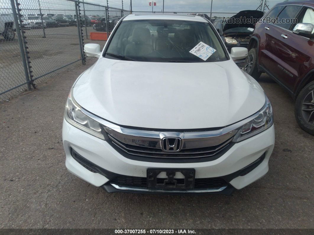 2017 Honda Accord Sedan Ex-l Белый vin: 1HGCR2F81HA125284