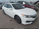 2017 Honda Accord Sedan Ex-l Белый vin: 1HGCR2F81HA125284