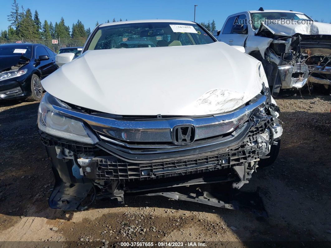 2017 Honda Accord Sedan Ex-l White vin: 1HGCR2F81HA164456